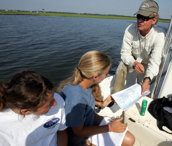 Osprey Banding
